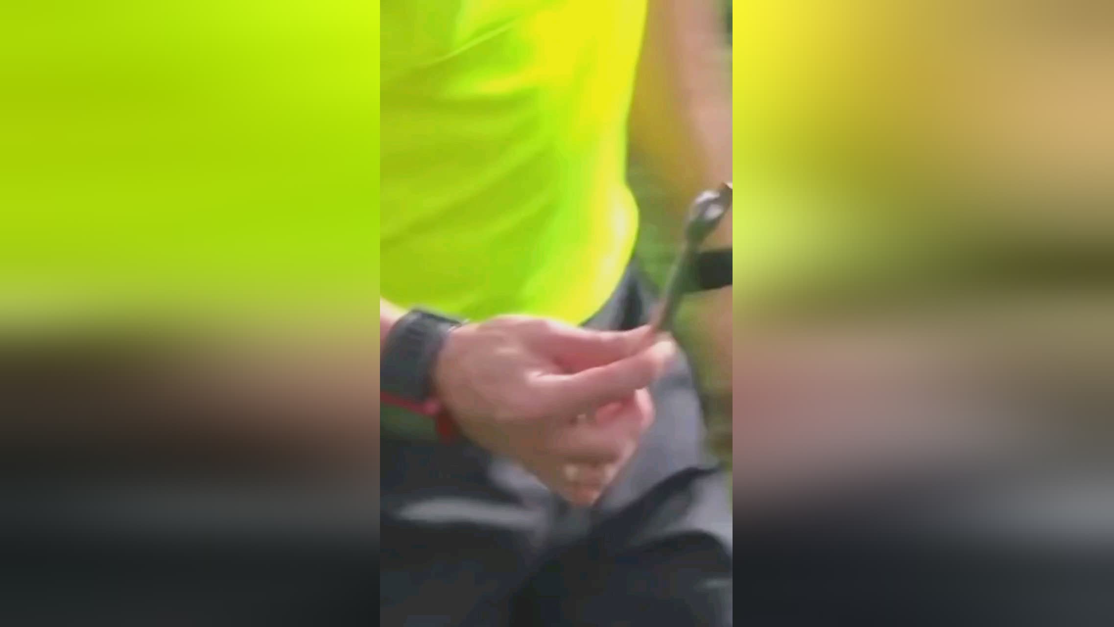 续或许